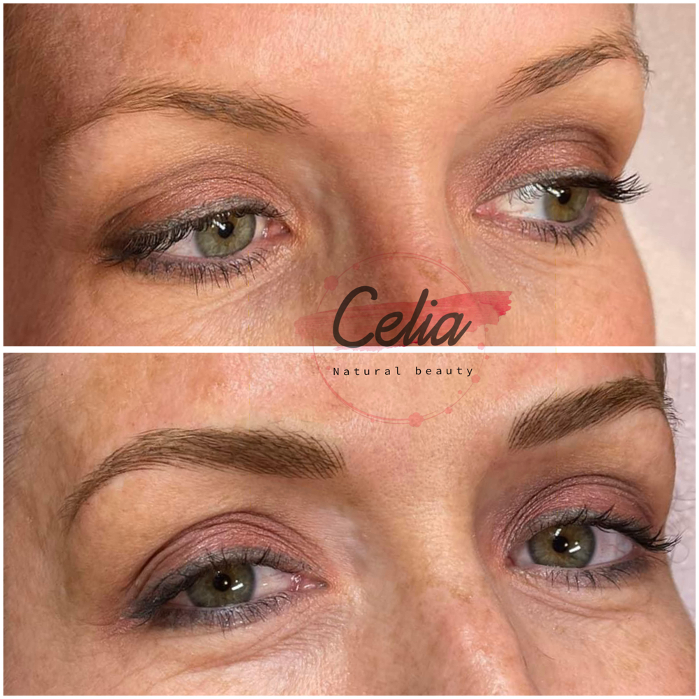 Eyebrow Nano Hair Strokes