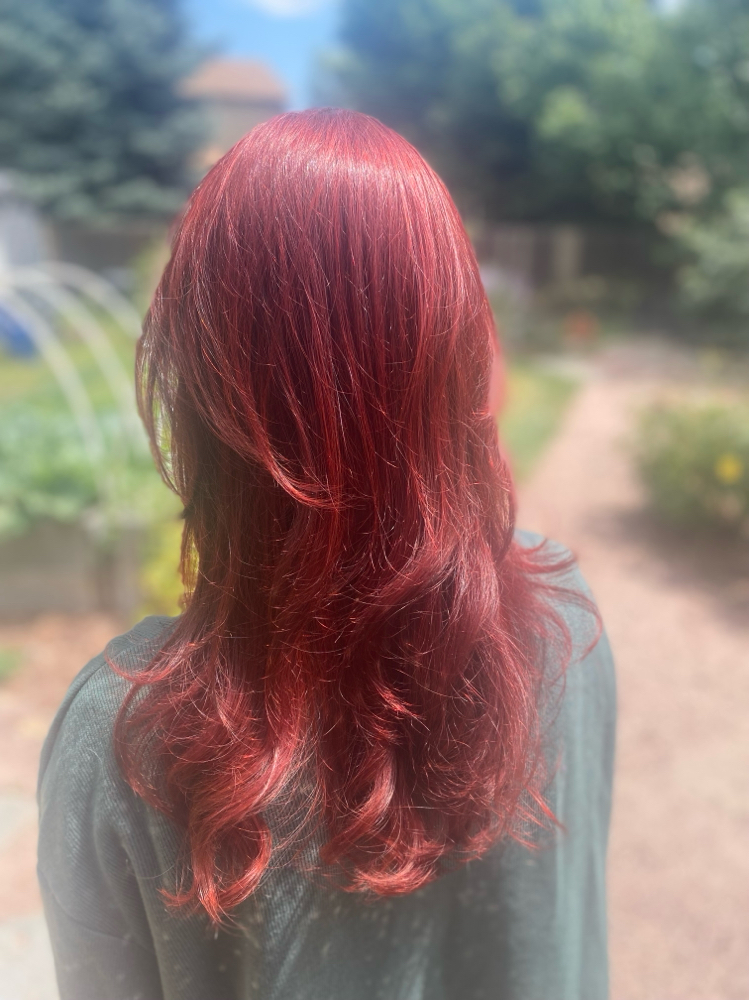 Color Retouch at Febe Foils & Flex in Colorado Springs, CO