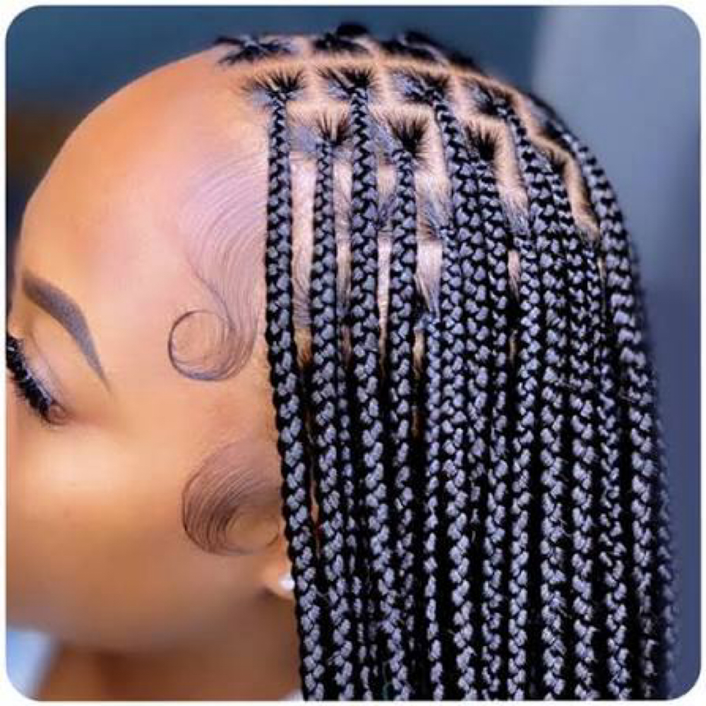 Small Box Braids at L&O BeautyCollection in West Burlington, IA