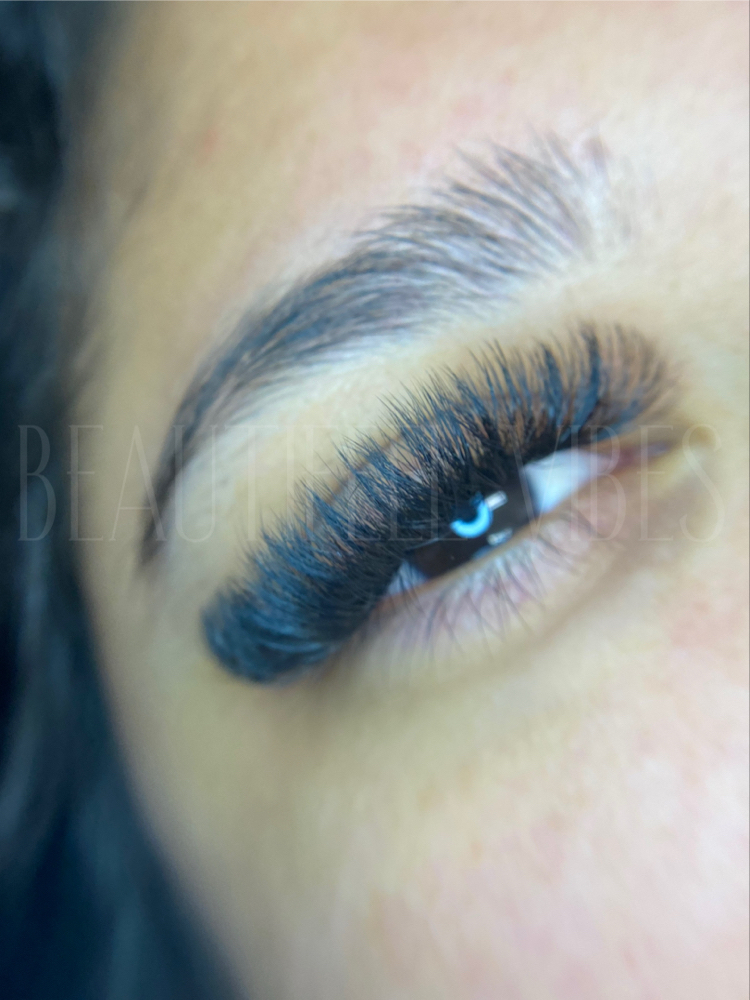 Volume Lash- (Full)