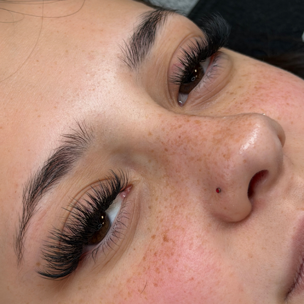 Hybrid Refill Less Than 3 Week at Lashed by Andrea in Shreveport, LA