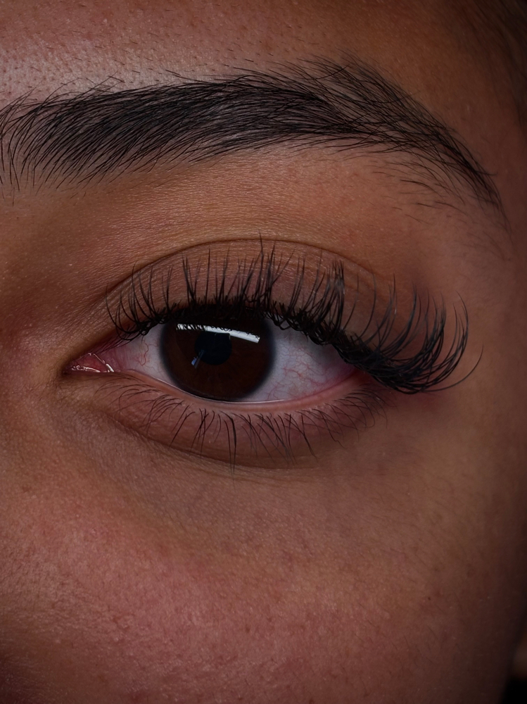 Classic Lashes