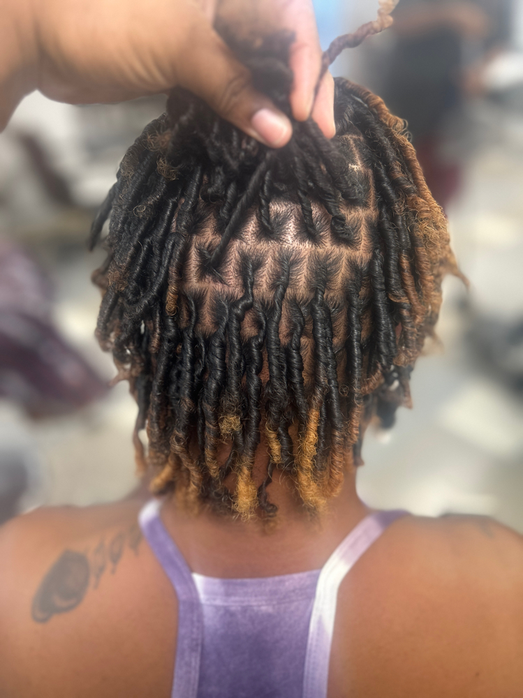 Starter Locs ( Over 100 )