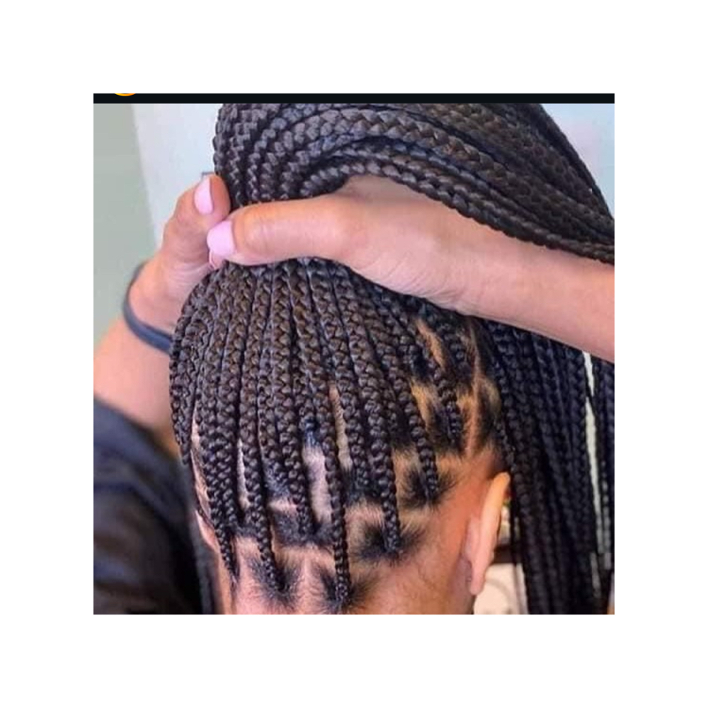 Knotless Braid at Marcelle Crown Studio in Pantego, TX