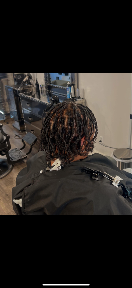 Starter Locs