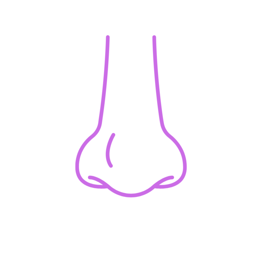 Nose Wax at Alina’s Spot in Round Rock, TX