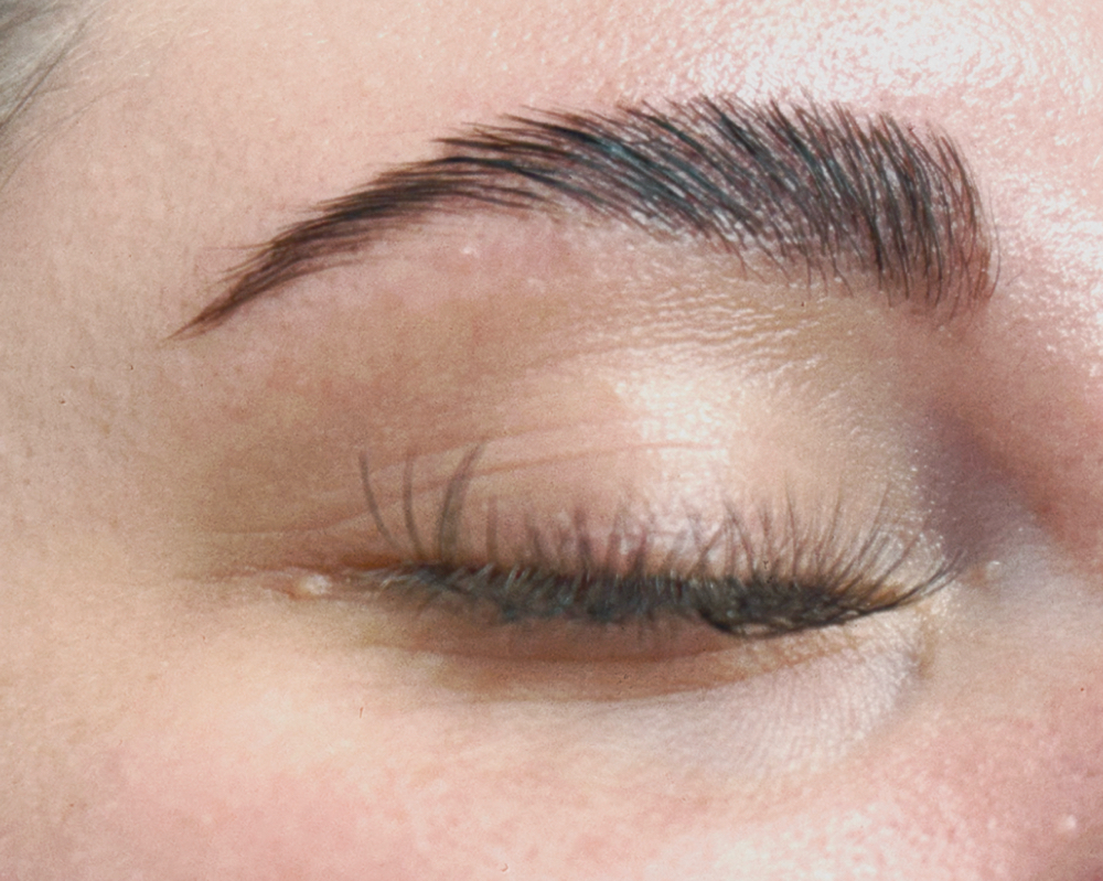 Brow~ Lamination | Stain | Wax