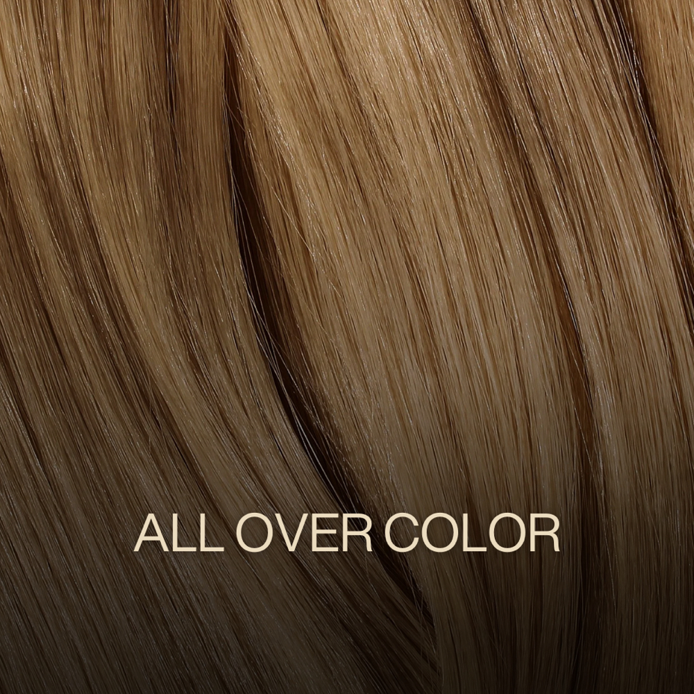 All Over Color at Zemra Salon in Westborough, MA