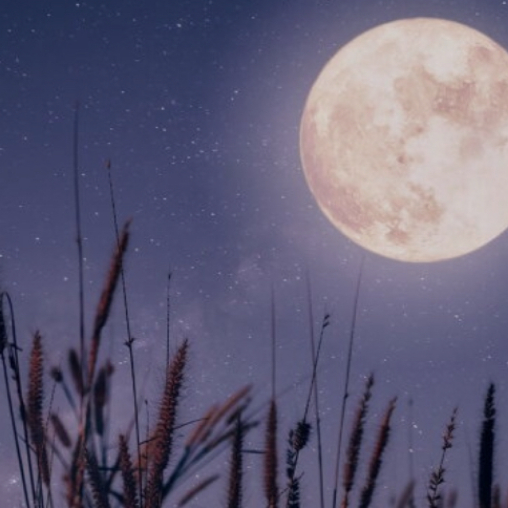 Full Moon Ritual Cut at Earth + Ether Holistic Salon in Boulder, CO