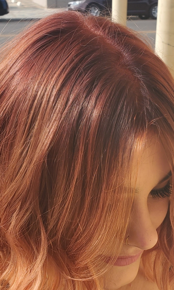 Express Root Touch Up