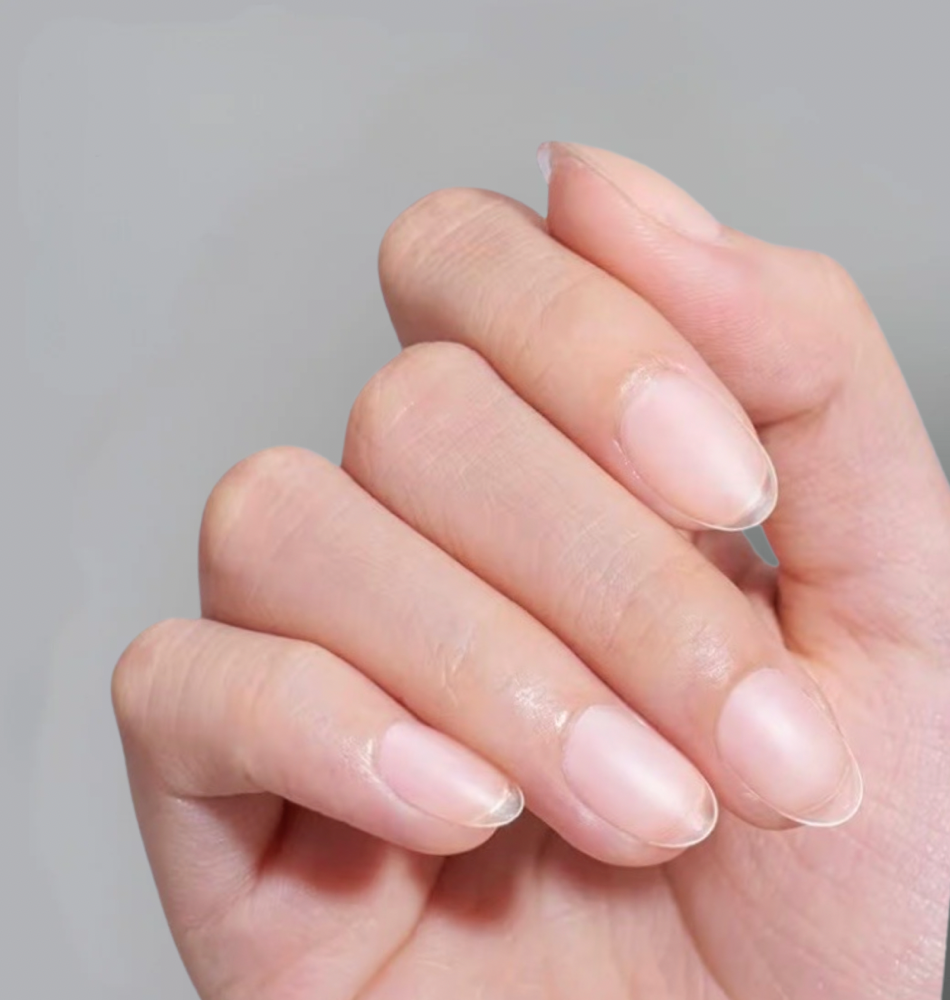 Gel X Set (Extra Short/ Short)