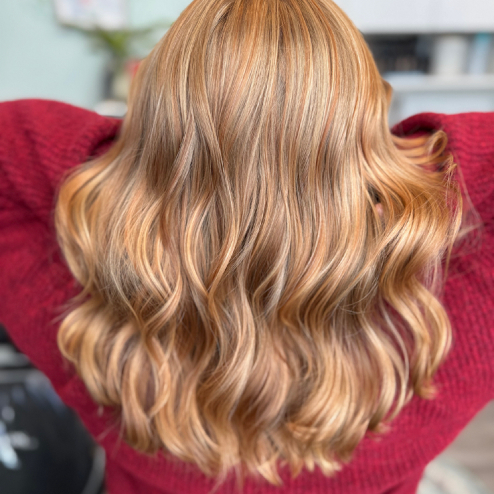 SIGNATURE HAIRCUT + STYLE at Wild Bloom Hair Studio in Wyomissing, PA