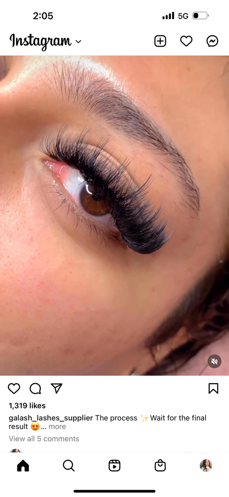 Lash Special