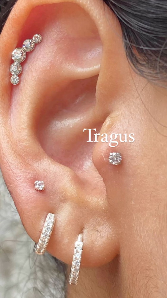 Tragus Piericng