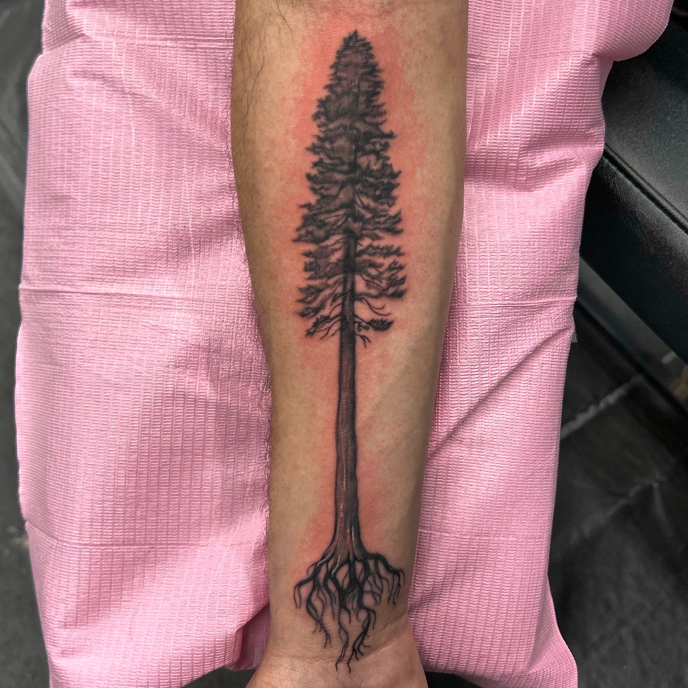 Large Fine Line