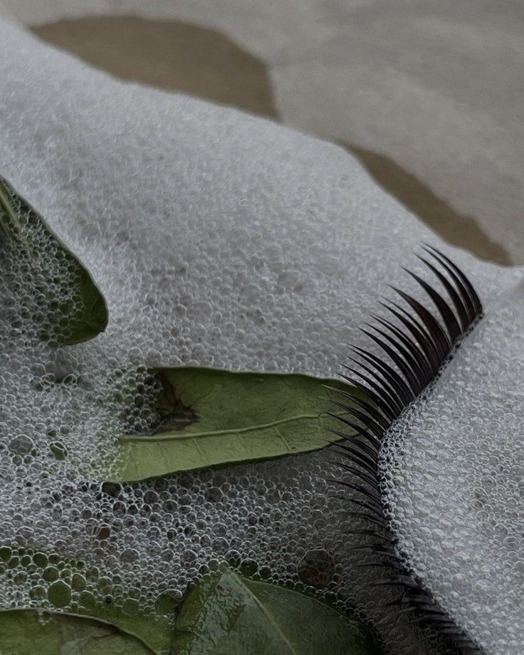 Lash Removal