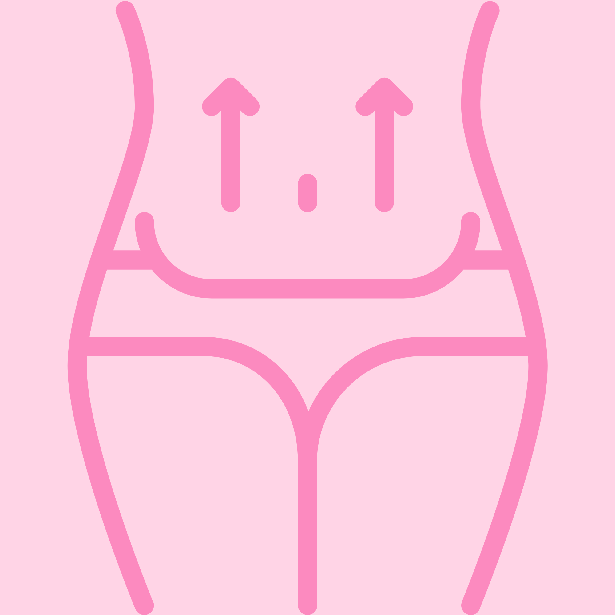 Full Tummy