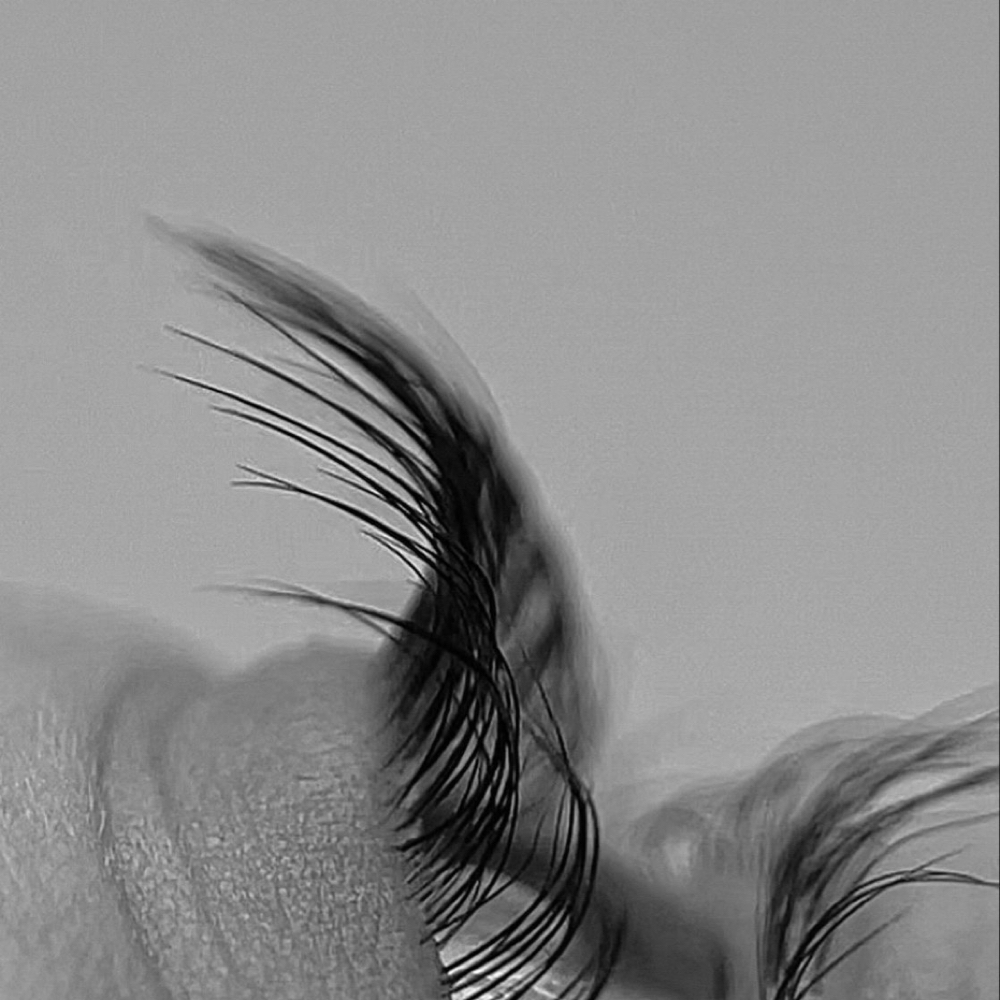 Lash Tint at Marissa Esthetics in Park Ridge, IL