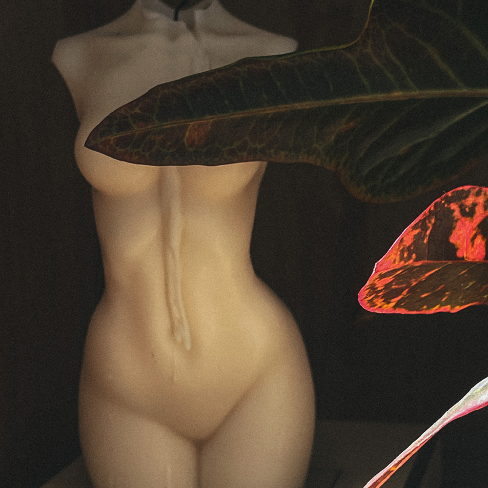 Full Body Wax (hers)