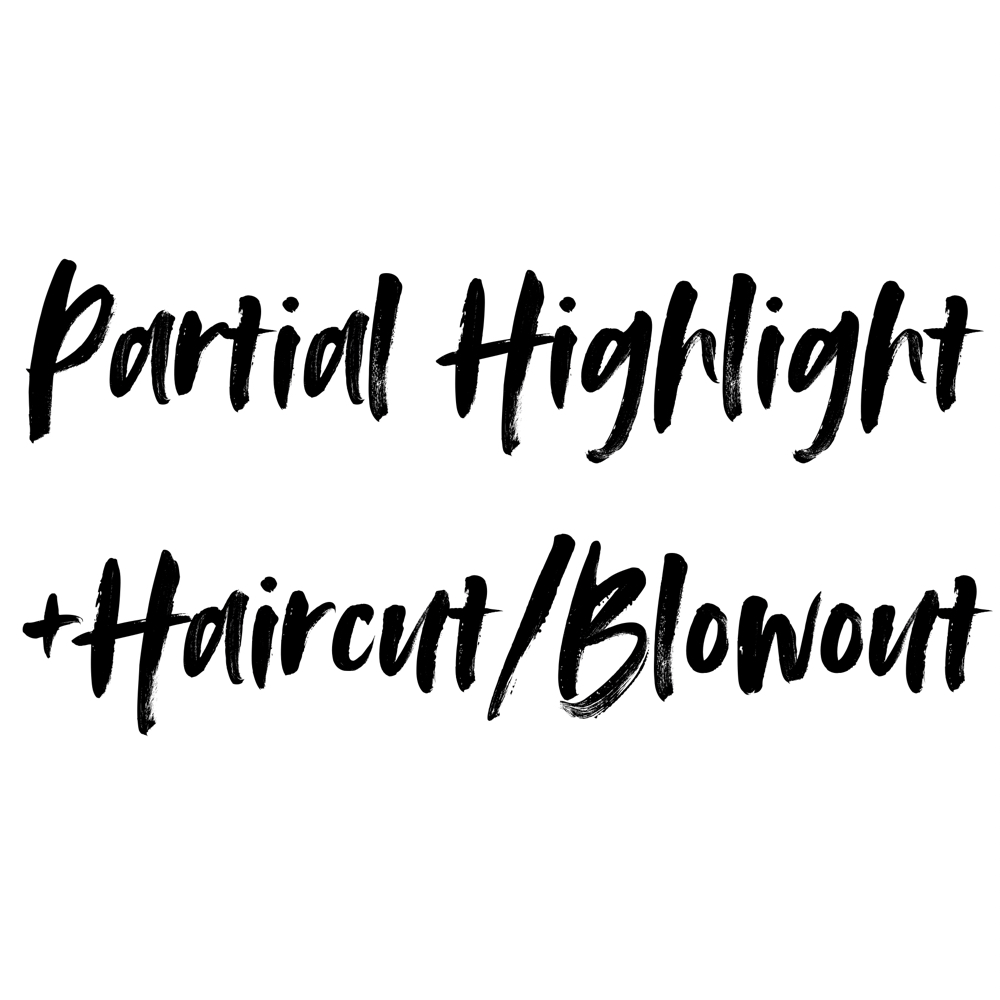 Partial Highlight+Haircut/Blowout at ROYGBV Creative Hair Design in Woodhaven, MI