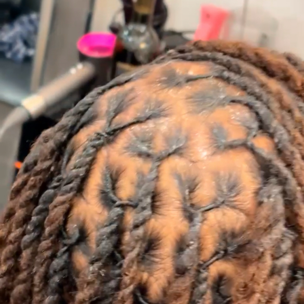 100 & Up Retwist at Beyond Hair Braiding in Bronx, NY