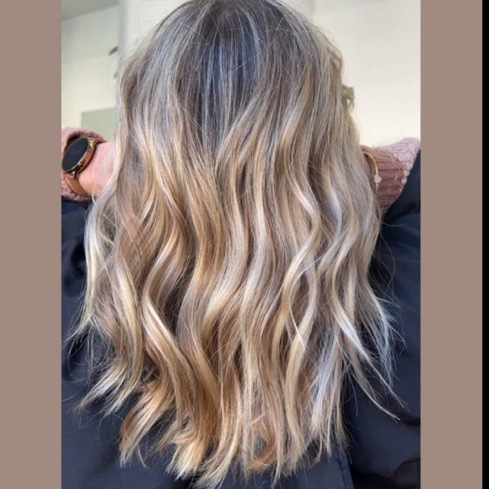 Haircut/ Partial Highlights at Hair Design by Sharon at Elise Armeem in Novato, CA