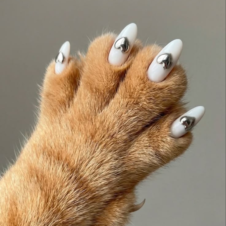 Basic Nail Art at Claws Nail Studio in Fallon, NV