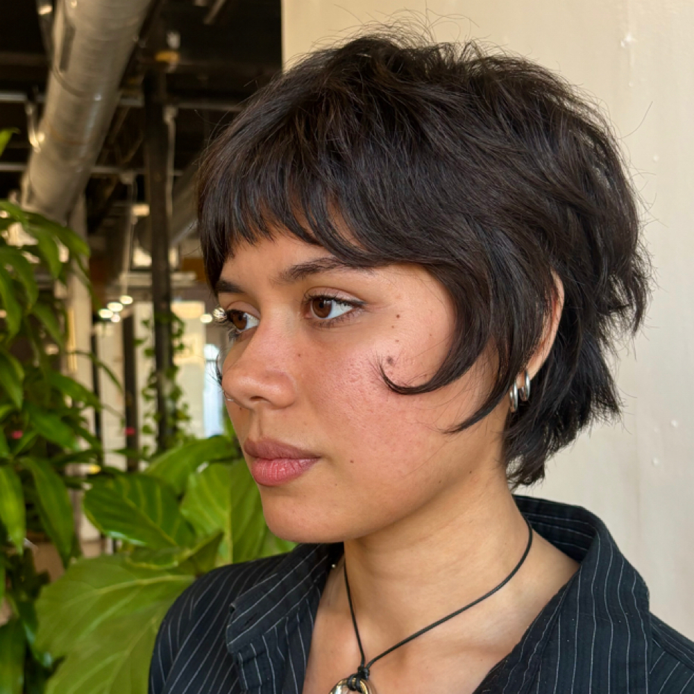 Short Cut at Pixie Witch Snips in Tampa, FL