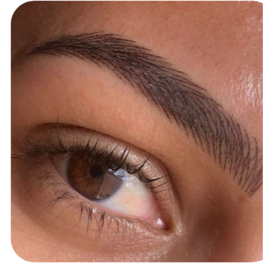 Eyebrows Wax & Tinted at Elegant Luxe Beauty in Wesley Chapel, FL