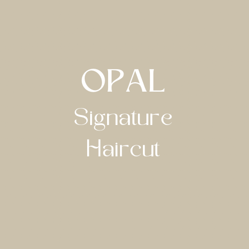 OPAL Signature Haircut