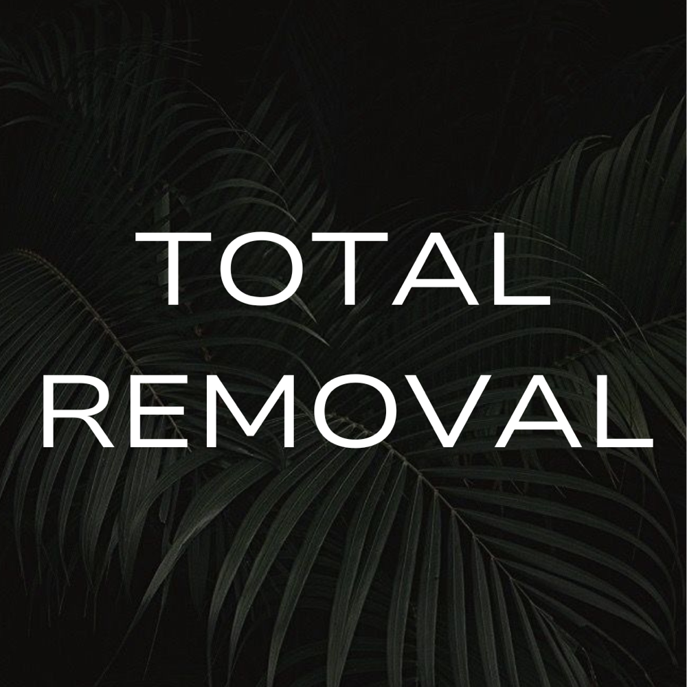 Total Removal at Pomalo Nail Studio in Bremerton, WA