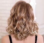 Highlights