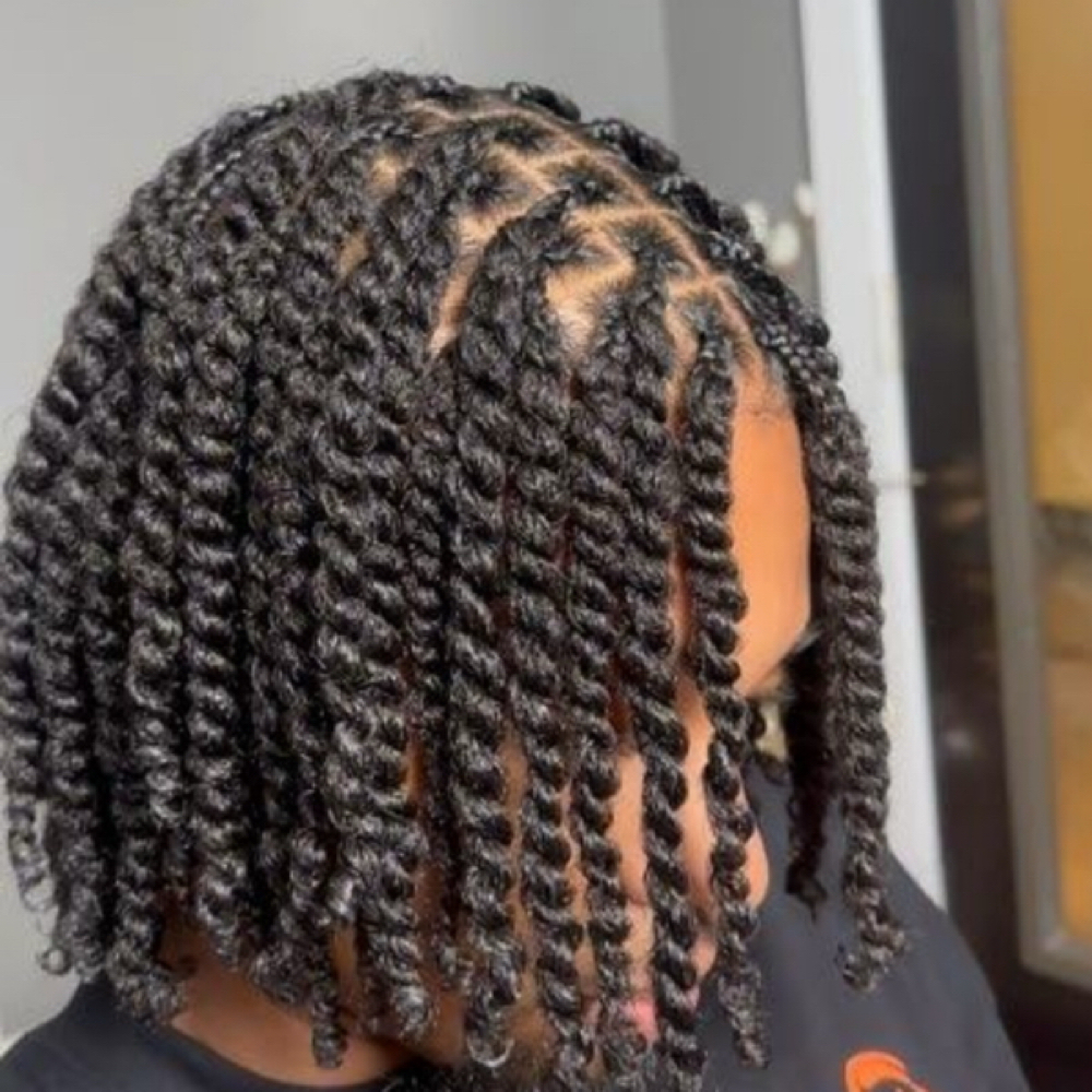 2 Strand Twist at Devine Artistry in Auburn, AL