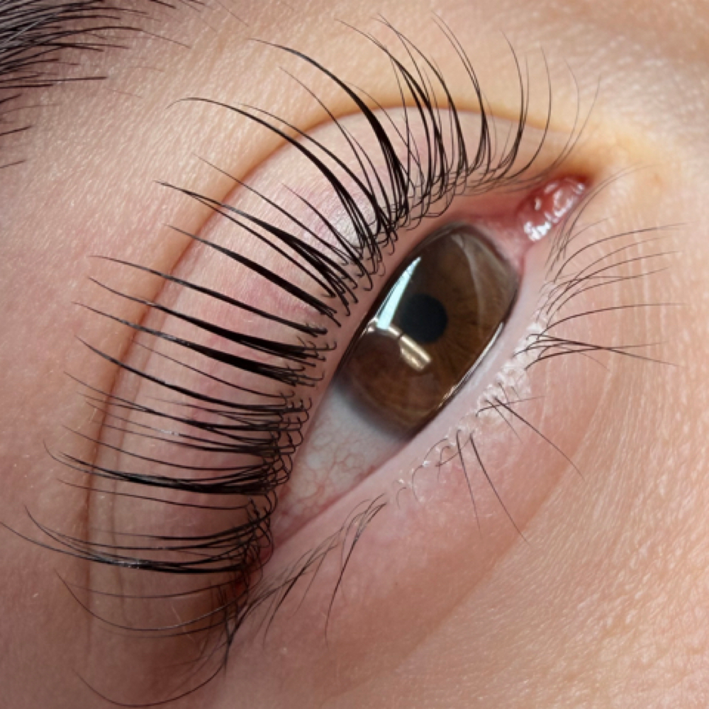 Korean Lash Lift with Tint at Serenity Lash Lounge in Houston, TX