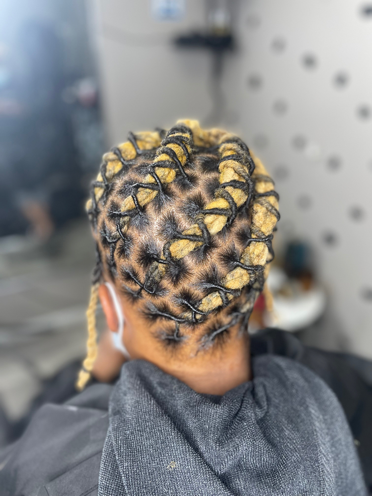 Loc Updo