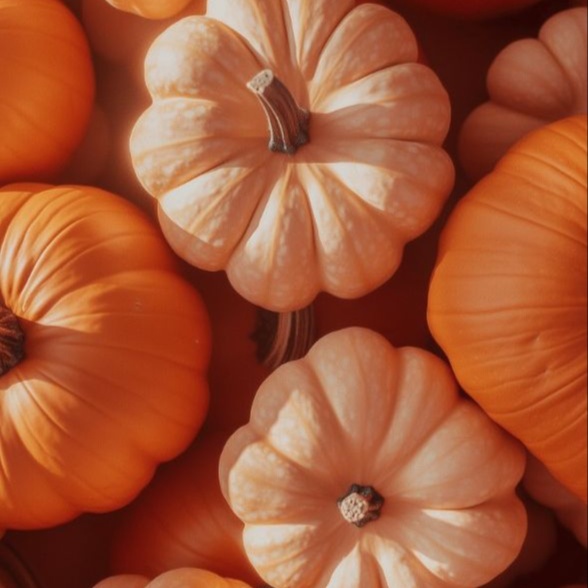 Pumpkin Glow Facial at lillyrosebeauty in Murrieta, CA
