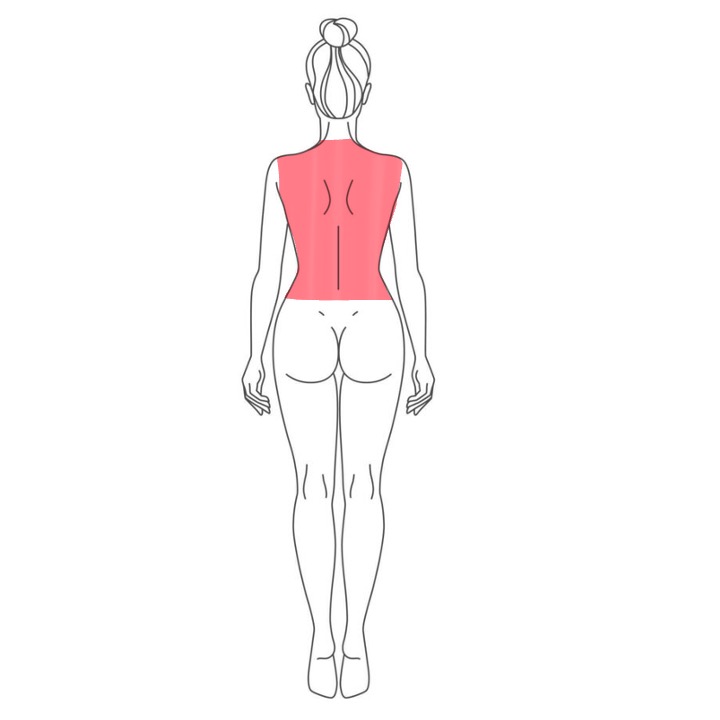 Full Back