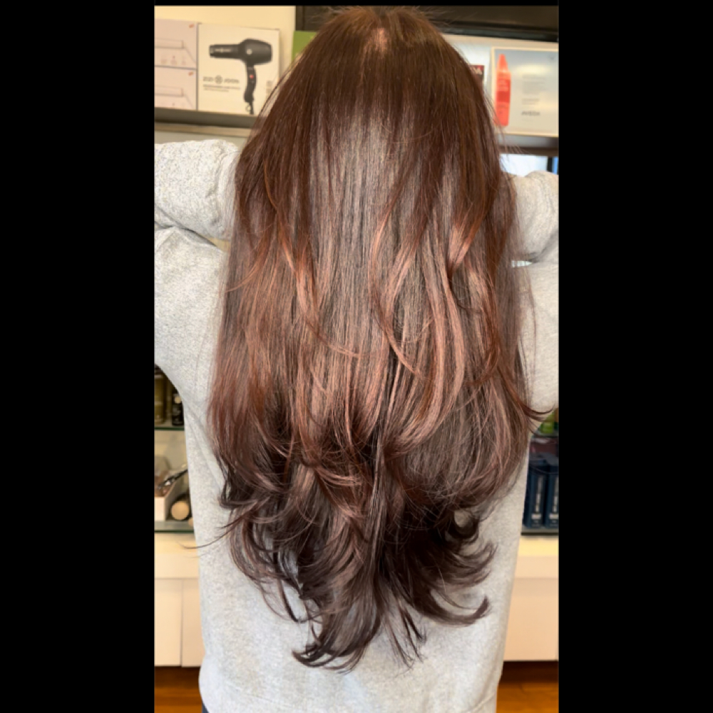 Deluxe Haus Cut at The Beaute Haus in Charlotte, NC