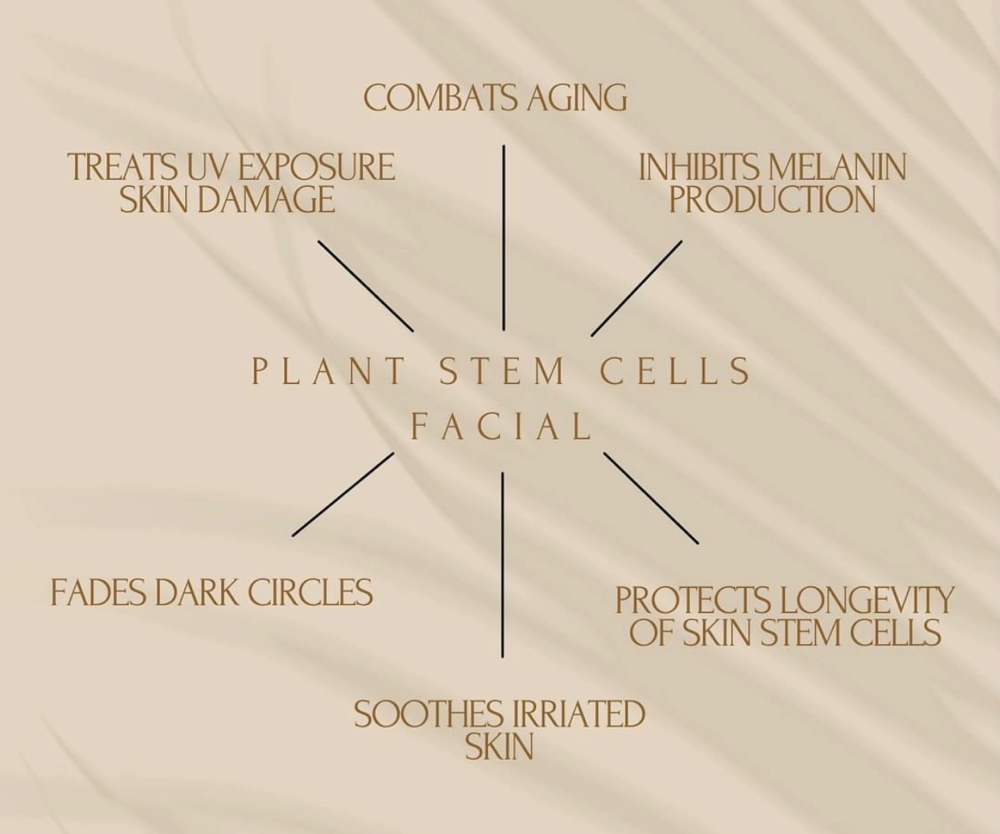 Plant Stem Cell Facial