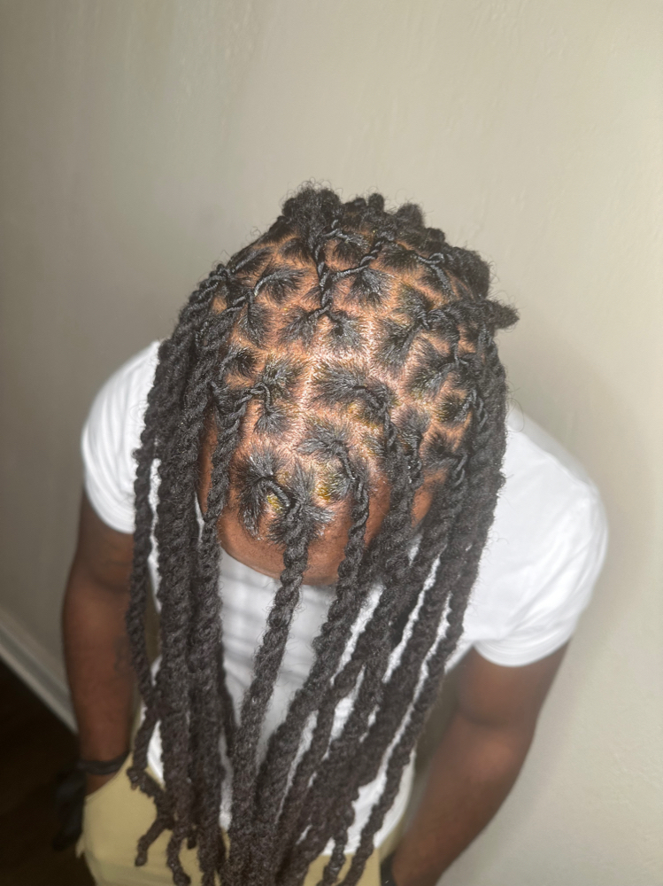 Shampoo&Retwist&Style