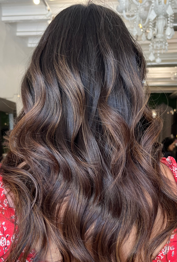 Root Touch Up