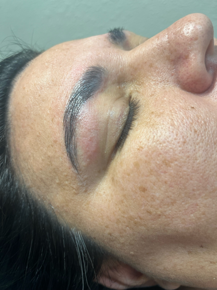 Brow Tint and Wax