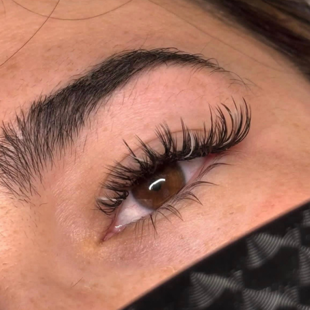 Volume Set at Lashes By Aniyah in Michigan City, IN