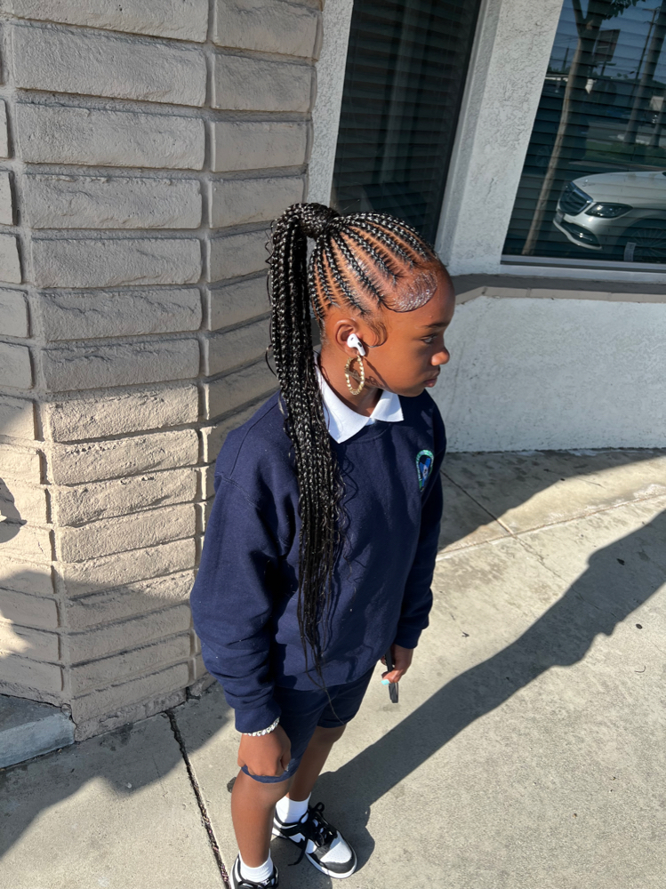 Shmedium braid ponytail