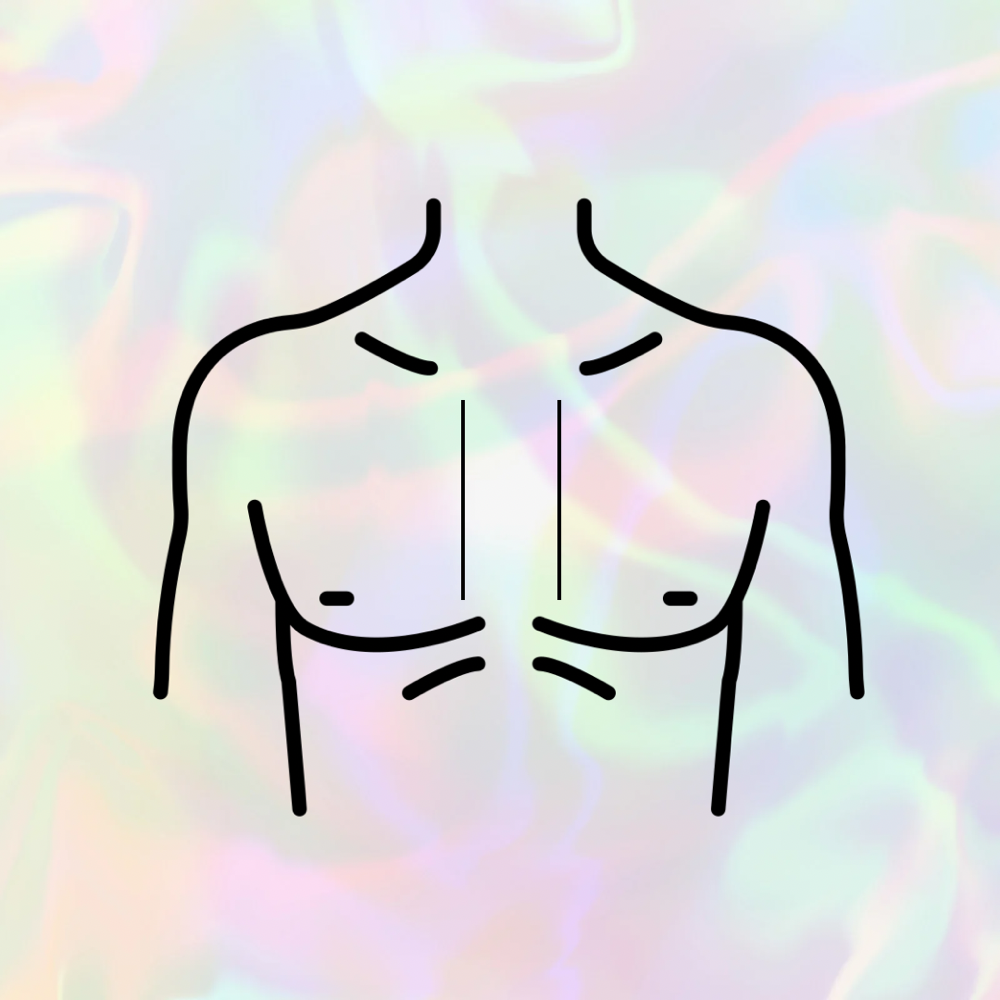 Chest (strip)