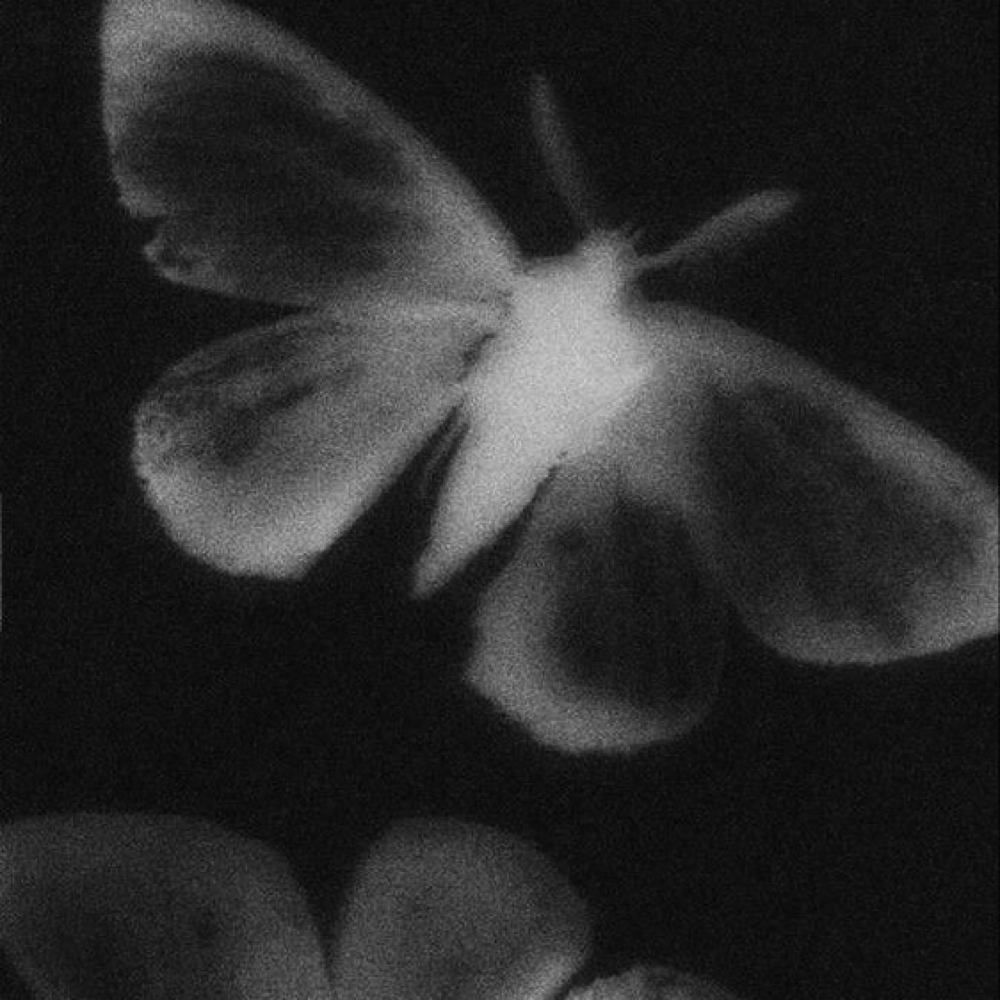 THE DREAM FACIAL at ONYX DISTRICT in Mcalester, OK