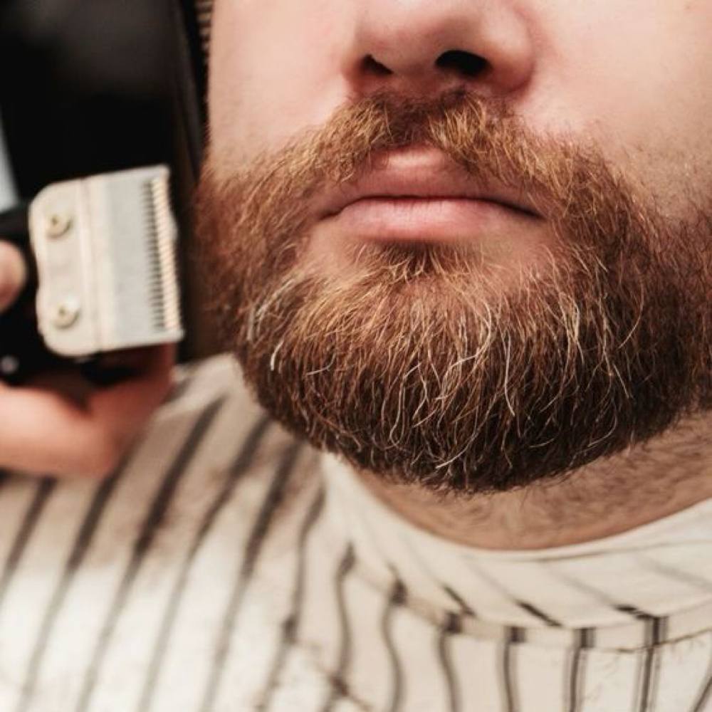 Men’s Beard Trim at The Blonde Society in Hazel Green, AL