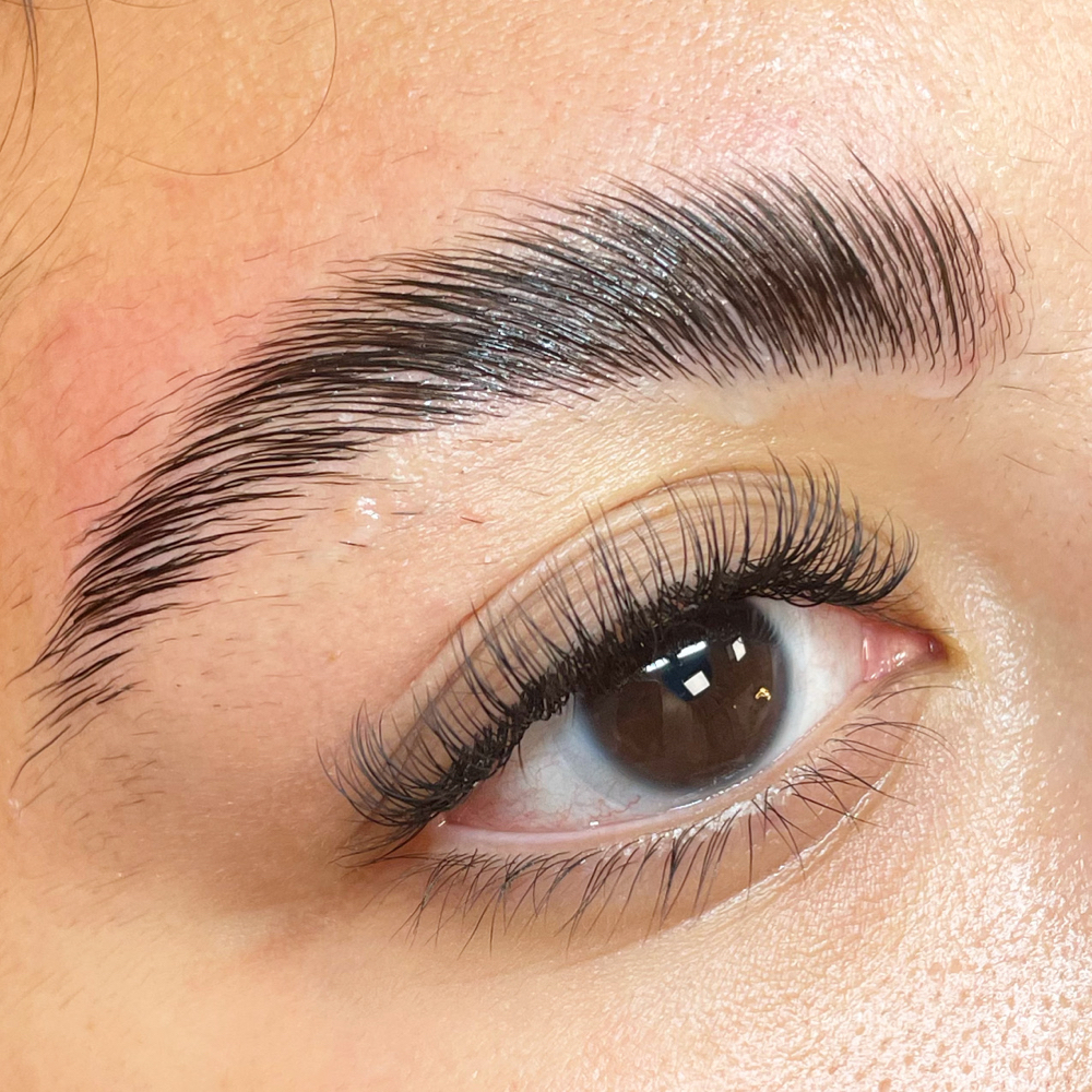Brow Lamination W/Tint at DallasLashTherapy in Dallas, TX