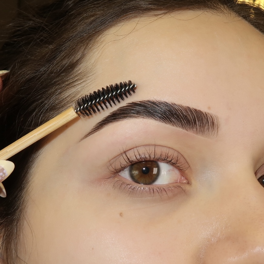 Elevated: Lash & Brows 🌟