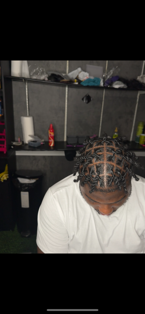 Two Strand Locs